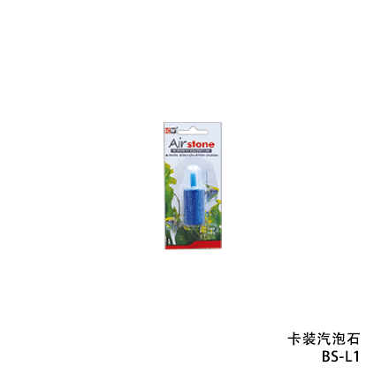 汽泡石
