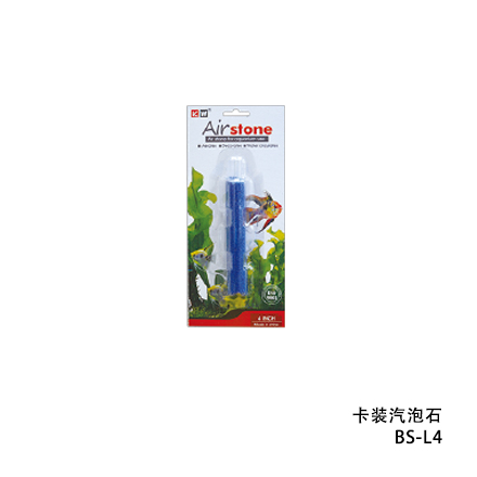 汽泡石