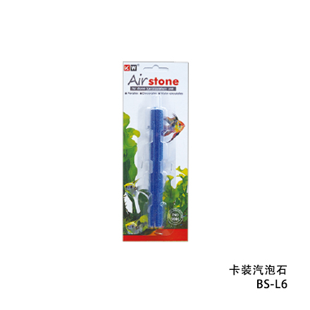 汽泡石
