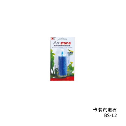 汽泡石