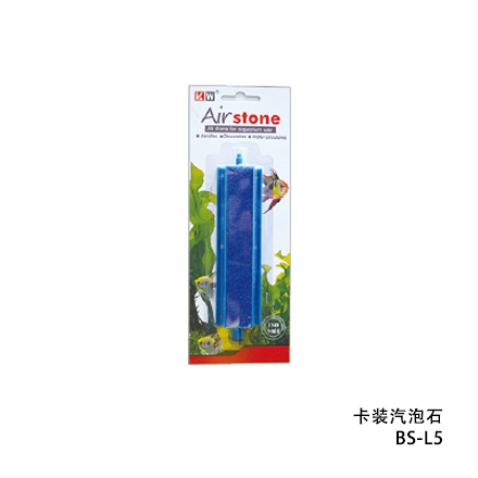 汽泡石