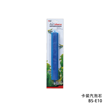 汽泡石